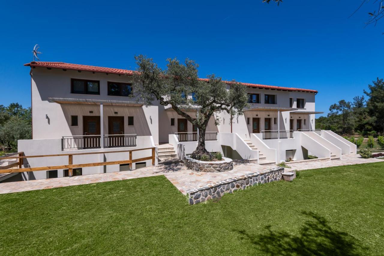 Dionysus Apartments & Suites Ierissos Bagian luar foto