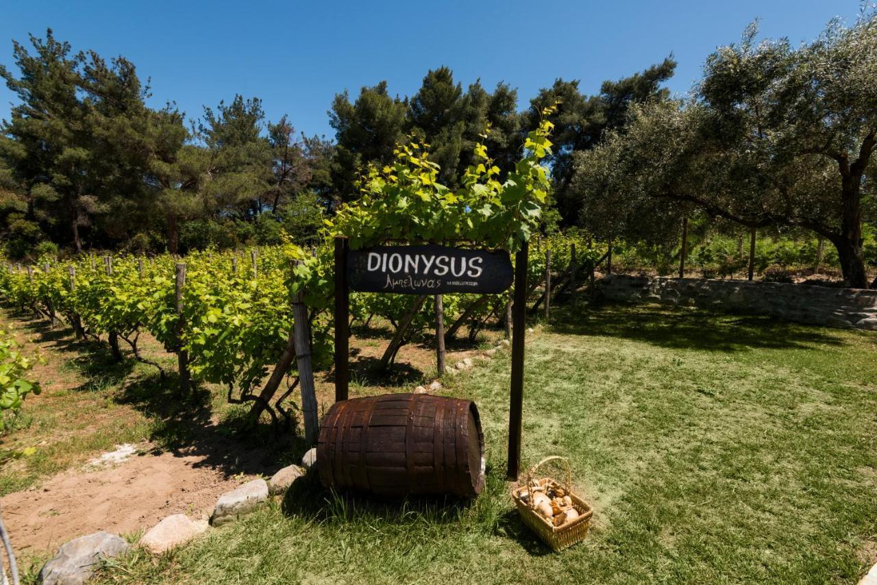 Dionysus Apartments & Suites Ierissos Bagian luar foto