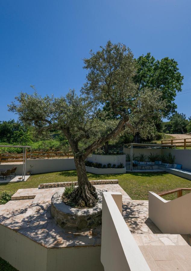 Dionysus Apartments & Suites Ierissos Bagian luar foto